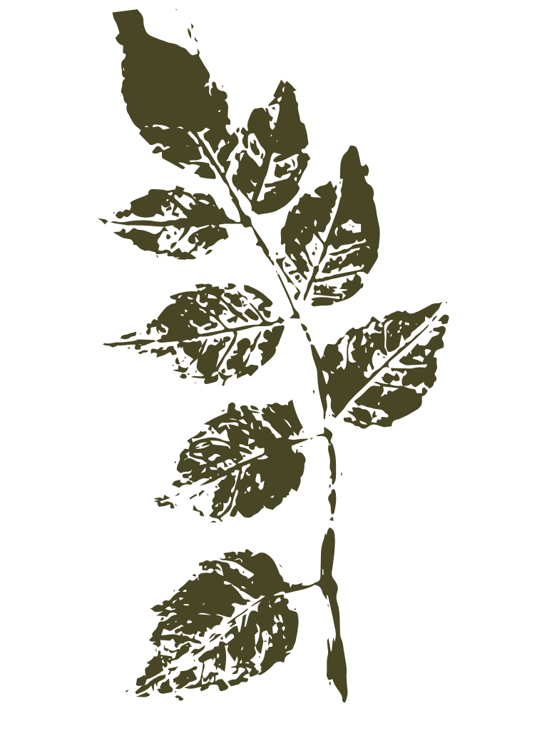 Leaflik - Ansophi Jacobs - Eco-Printed Textiles