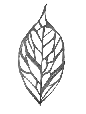 Leaflik - Eco-Printed Textiles