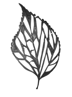 Leaflik - Eco-Printed Textiles