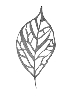 Leaflik - Eco-Printed Textiles