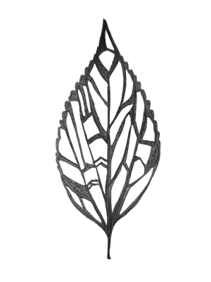 Leaflik - Eco-Printed Textiles